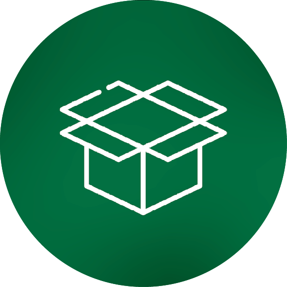 icon 1